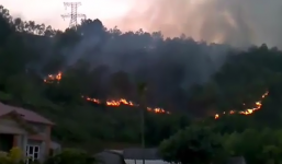 Clip: Đầu năm cháy lớn tại rừng sinh thái Xuân Khanh